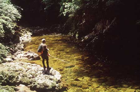 Backcountry river
