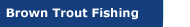 Brown Trout Fishing