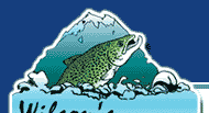 New Zealand Fishing Guide -  Brown Trout  flyfishing guide Reefton, South Island