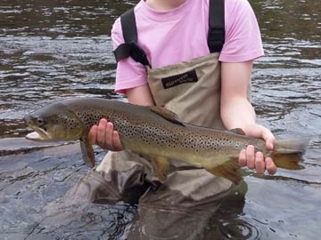 Reefton Fly Fishing with South Island fishing guide Bryan Wilson