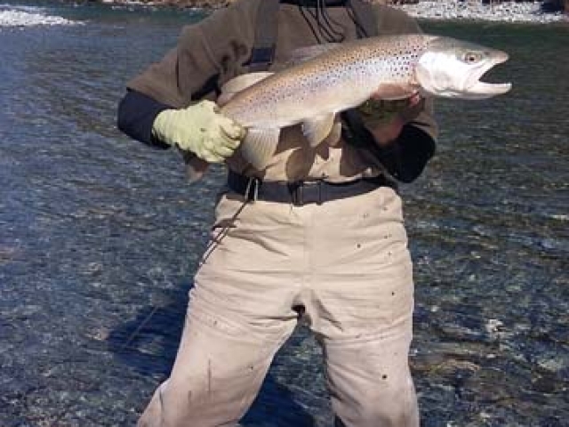 Fly fishing for Brown Trout in the Reefton area of the South Island, New Zealand with fishing guide Bryan Wilson
