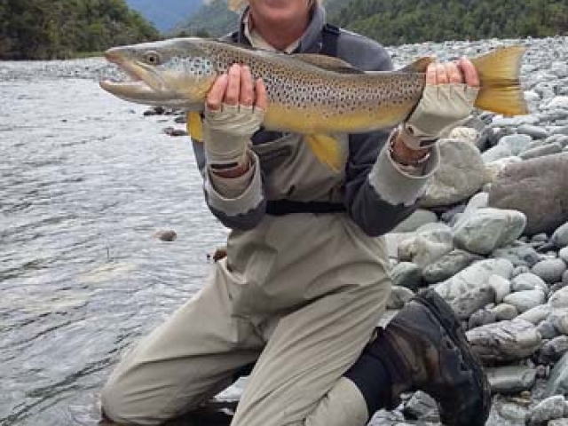 South Island New Zealand Brown trout with Bryan Wilson Reefton fishing guide