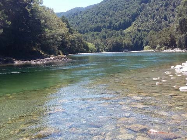 Fly fishing for Brown Trout in the Reefton area of the South Island, New Zealand with fishing guide Bryan Wilson