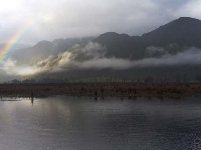 Lake Fly fishing for Brown Trout in the Reefton area of the South Island, New Zealand with fishing guide Bryan Wilson