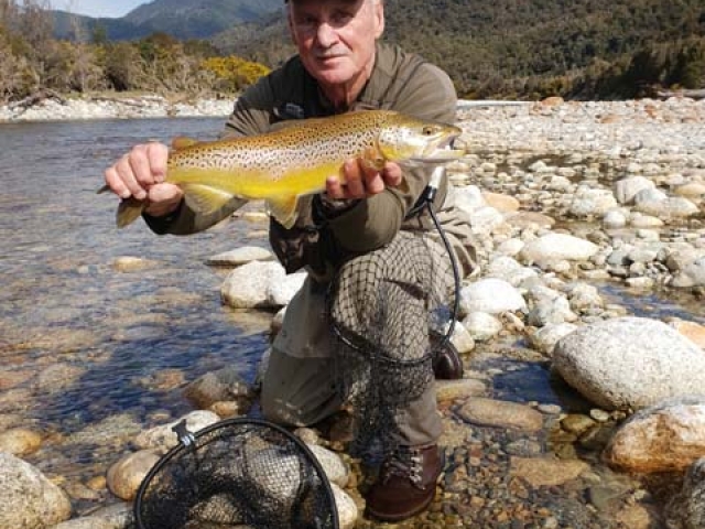 South Island New Zealand Brown trout with Bryan Wilson Reefton fishing guide