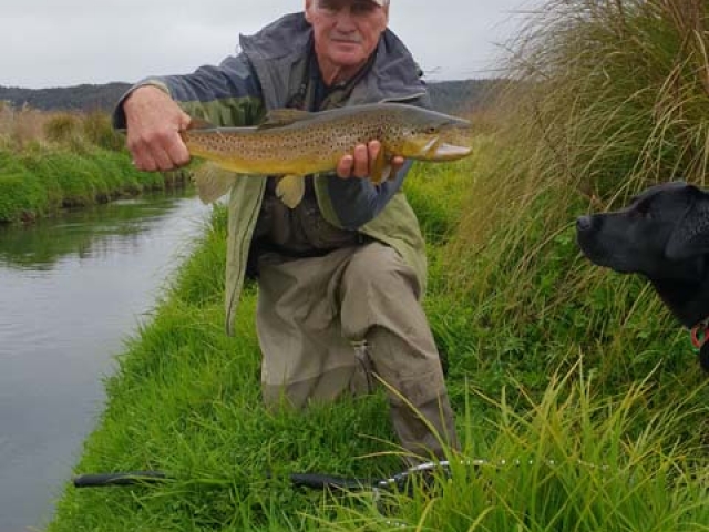 Fly fishing for Brown Trout in the Reefton area of the South Island, New Zealand with fishing guide Bryan Wilson