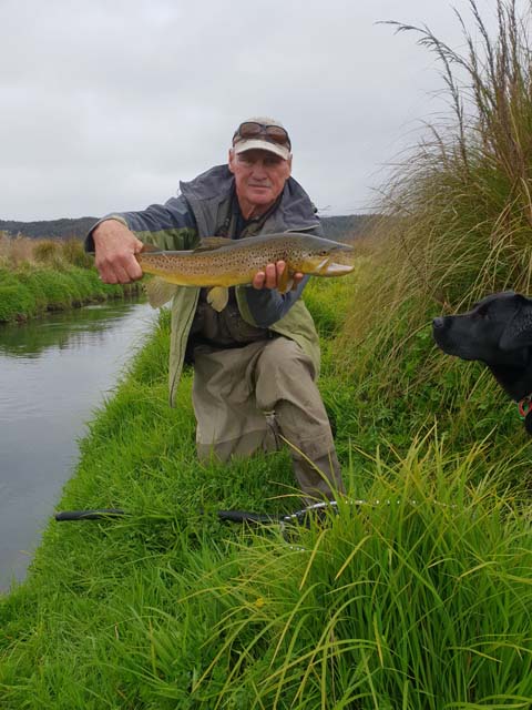 Fly fishing for Brown Trout in the Reefton area of the South Island, New Zealand with fishing guide Bryan Wilson
