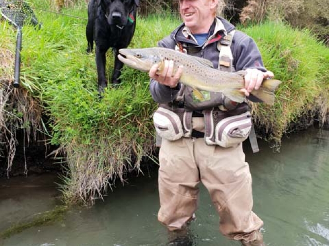 South Island New Zealand Brown trout with Bryan Wilson Reefton fishing guide