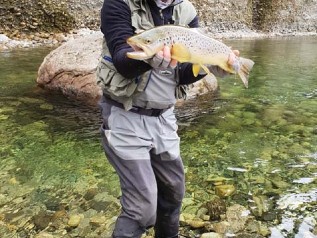 South Island New Zealand Brown trout with Bryan Wilson Reefton fishing guide