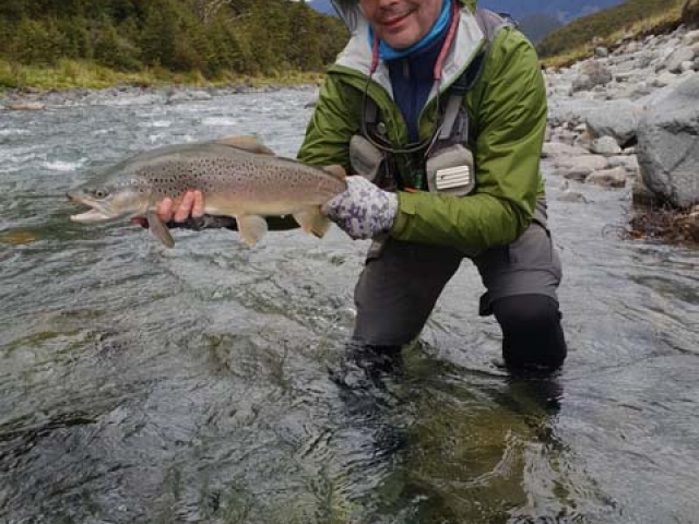 Fly fishing for Brown Trout in the Reefton area of the South Island, New Zealand with fishing guide Bryan Wilson