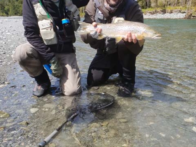 Fly fishing for Brown Trout in the Reefton area of the South Island, New Zealand with fishing guide Bryan Wilson