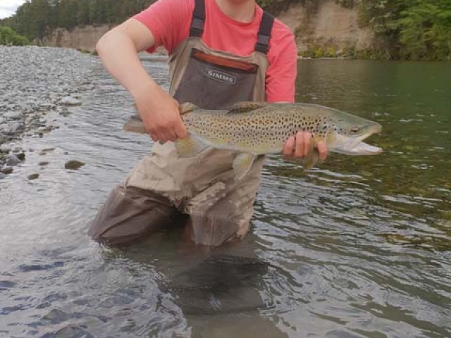 South Island New Zealand Brown trout with Bryan Wilson Reefton fishing guide