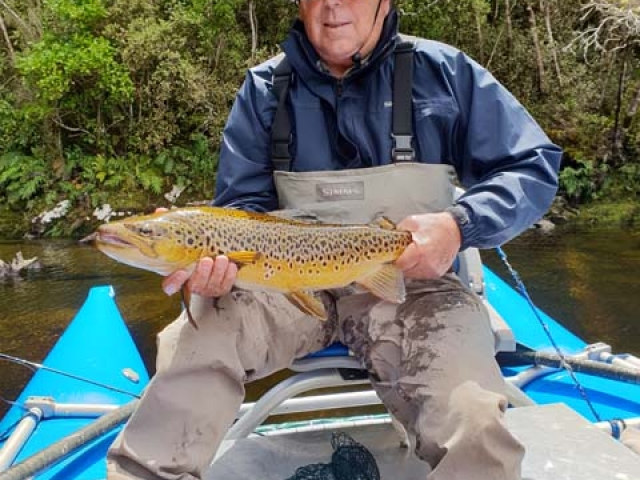 South Island New Zealand Brown trout with Bryan Wilson Reefton fishing guide