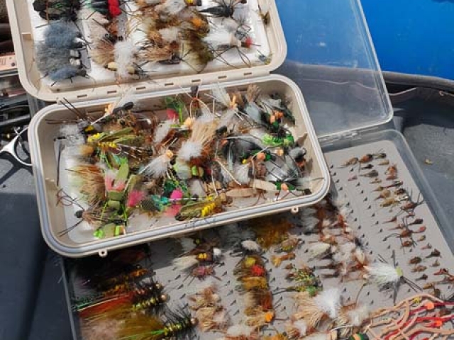 Fly fishing for Brown Trout in the Reefton area of the South Island, New Zealand with fishing guide Bryan Wilson