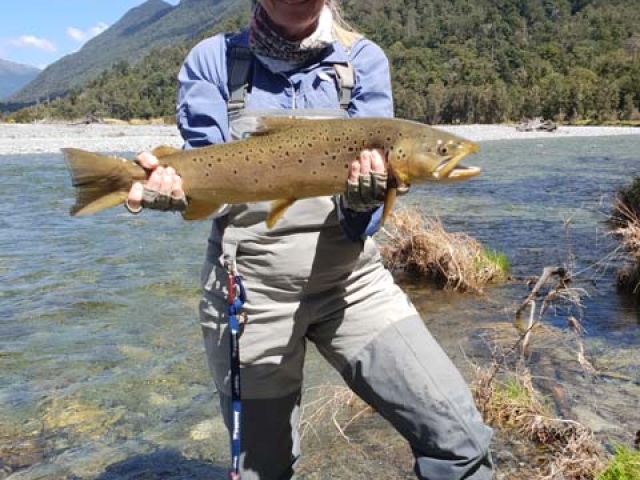 South Island New Zealand Brown trout with Bryan Wilson Reefton fishing guide