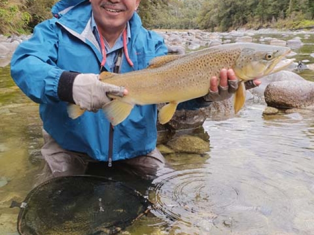 Sachio Nakagoshi, Japan, with a fine West Coast brown trout, guided by Reefton fishing guide, Bryan Wilson,