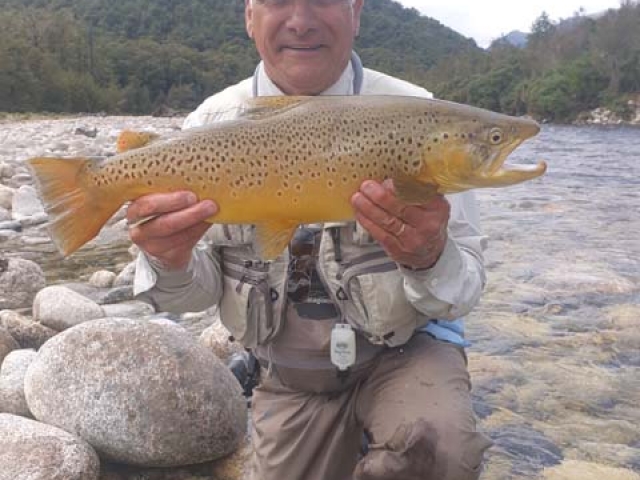 South Island New Zealand Brown trout with Bryan Wilson Reefton fishing guide
