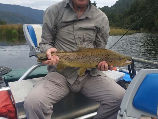South Island New Zealand Brown trout with Bryan Wilson Reefton fishing guide
