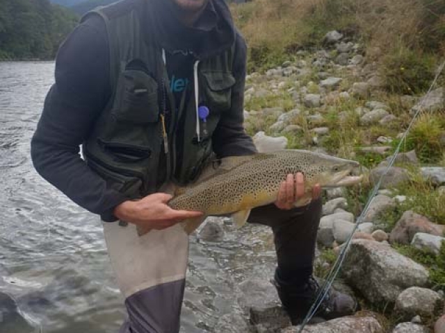 South Island New Zealand Brown trout with Bryan Wilson Reefton fishing guide