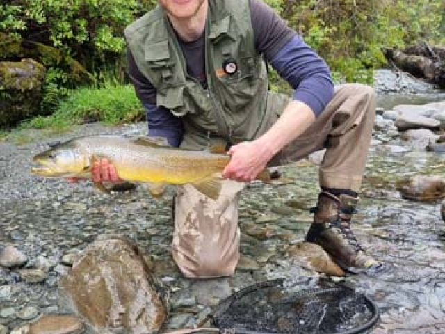 Fly fishing for Brown Trout in the Reefton area of the South Island, New Zealand with fishing guide Bryan Wilson