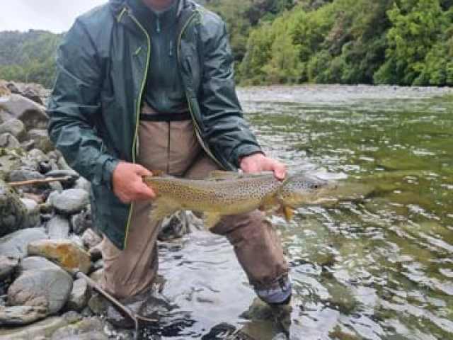 Fly fishing for Brown Trout in the Reefton area of the South Island, New Zealand with fishing guide Bryan Wilson