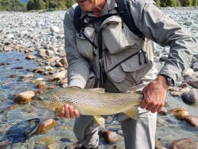 Fly fishing for Brown Trout in the Reefton area of the South Island, New Zealand with fishing guide Bryan Wilson