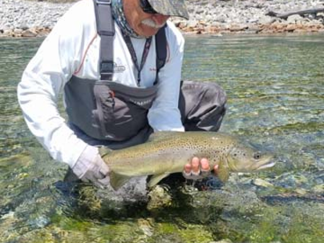 Fly fishing for Brown Trout in the Reefton area of the South Island, New Zealand with fishing guide Bryan Wilson