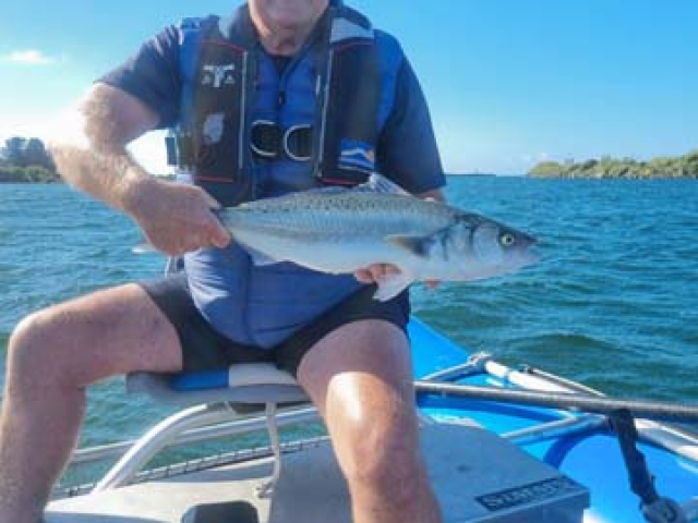 Guided fishing for kahawai, South Island, New Zealand with fishing guide Bryan Wilson