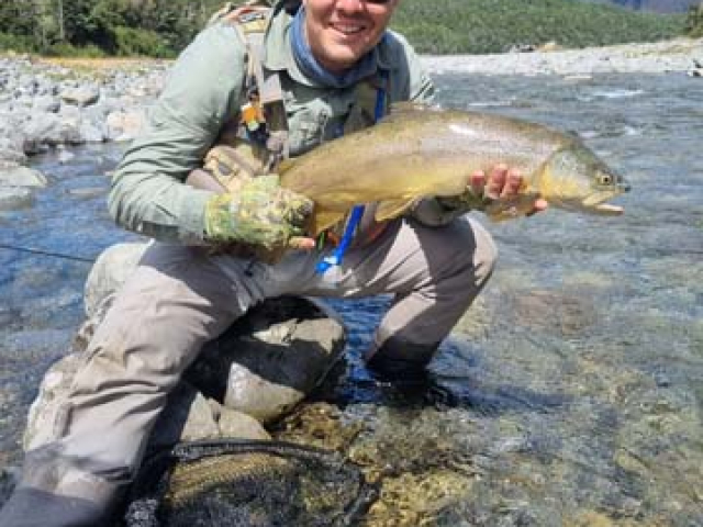 Fly fishing for Brown Trout in the Reefton area of the South Island, New Zealand with fishing guide Bryan Wilson