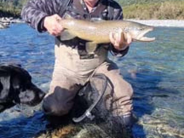 Fly fishing for Brown Trout in the Reefton area of the South Island, New Zealand with fishing guide Bryan Wilson