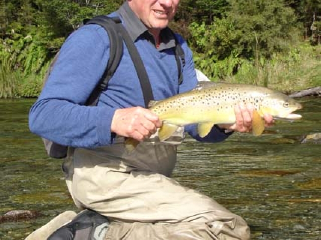 A South Island New Zealand brown trout, guided by Reefton fly fishing guide, Bryan Wilson