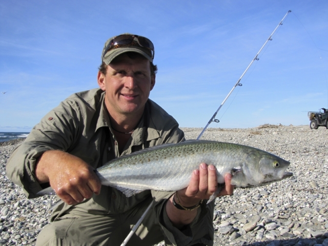 South Island New Zealand Kahawai with Bryan Wilson Reefton fishing guide