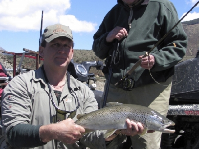 South Island New Zealand Brown trout with Bryan Wilson Reefton fishing guide