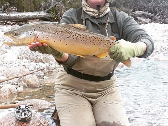 South Island New Zealand Brown trout with Bryan Wilson Reefton fishing guide