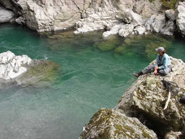 Fly fishing for Brown Trout in the Reefton area of the South Island, New Zealand with fishing guide Bryan Wilson