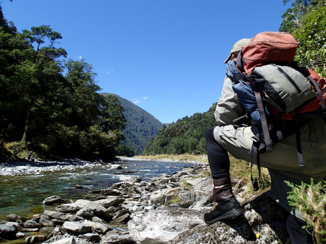 Fly fishing for Brown Trout in the Reefton area of the South Island, New Zealand with fishing guide Bryan Wilson